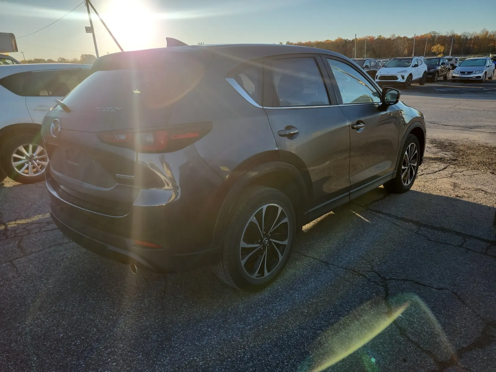 Passenger Rear 3/4 Photo