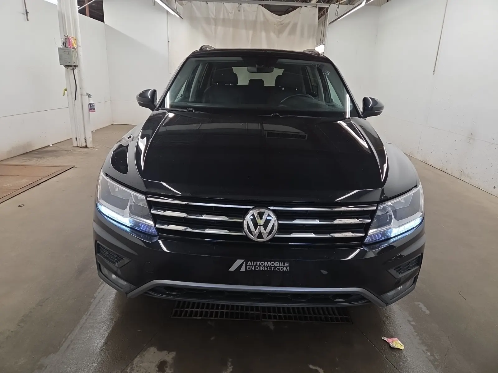 Full Front Photo