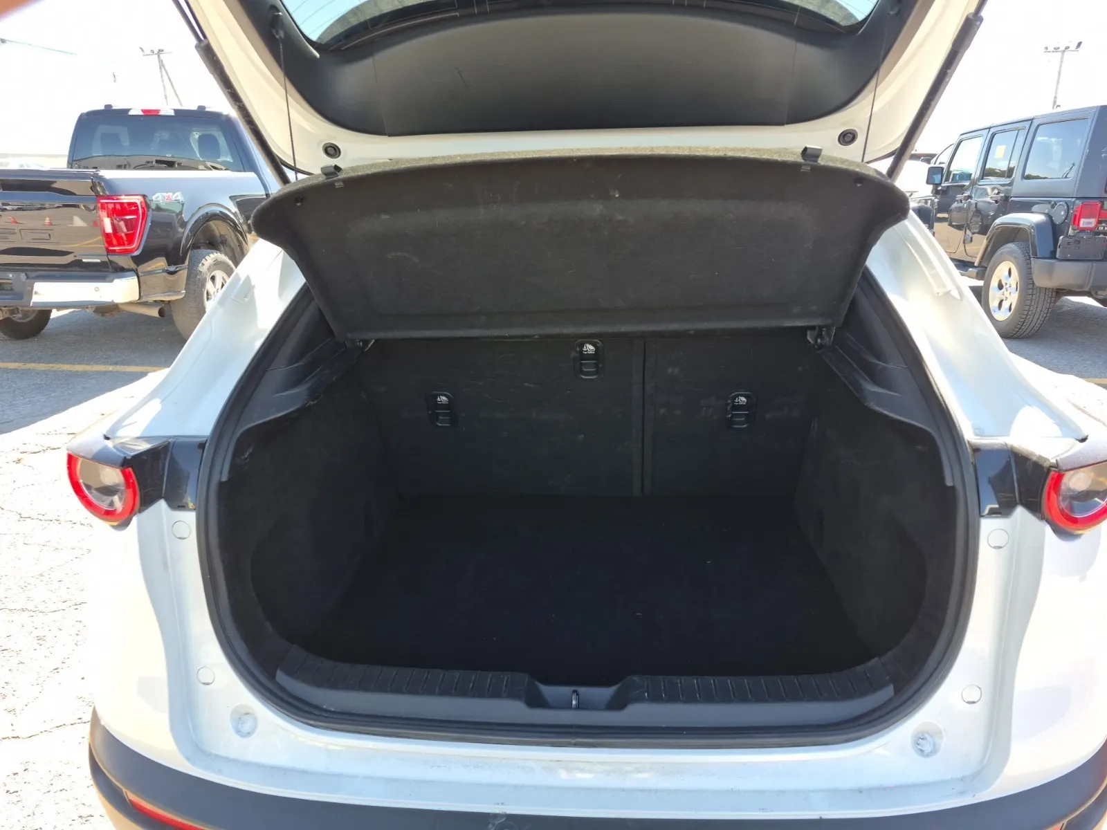 Cargo Area Photo