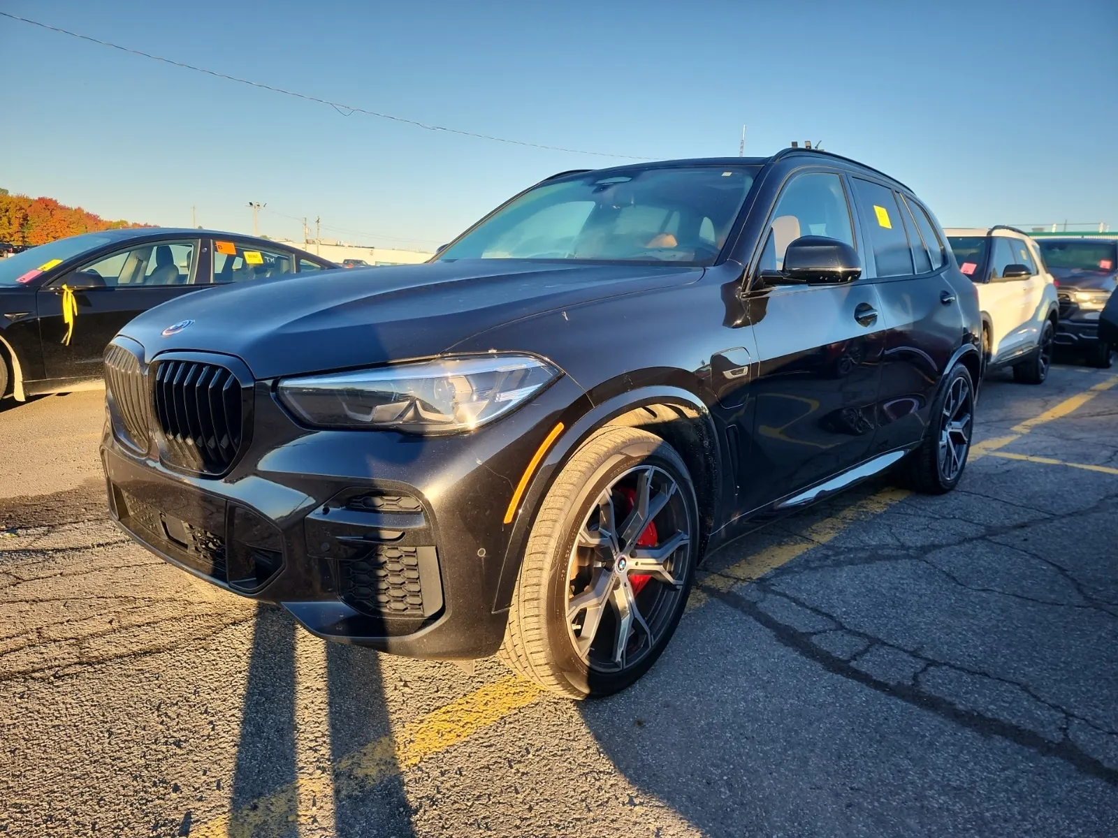 2023 BMW X5