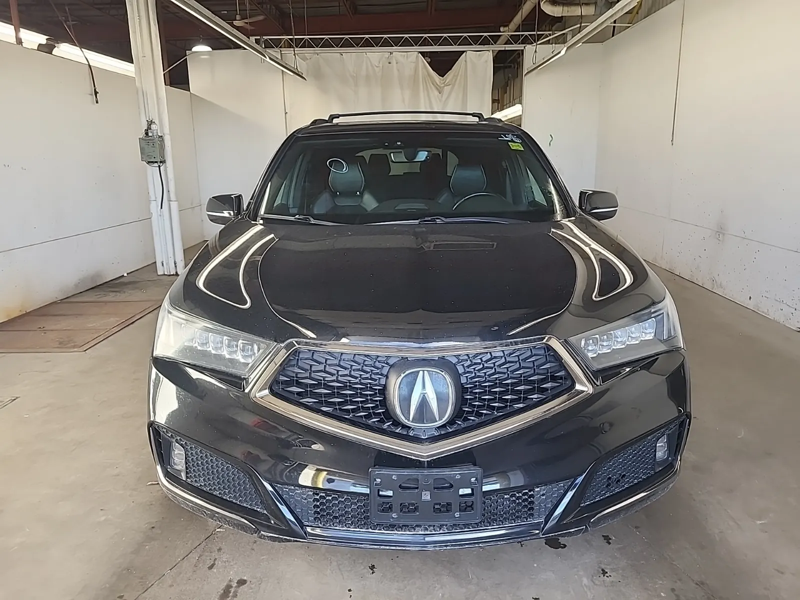 Full Front Photo