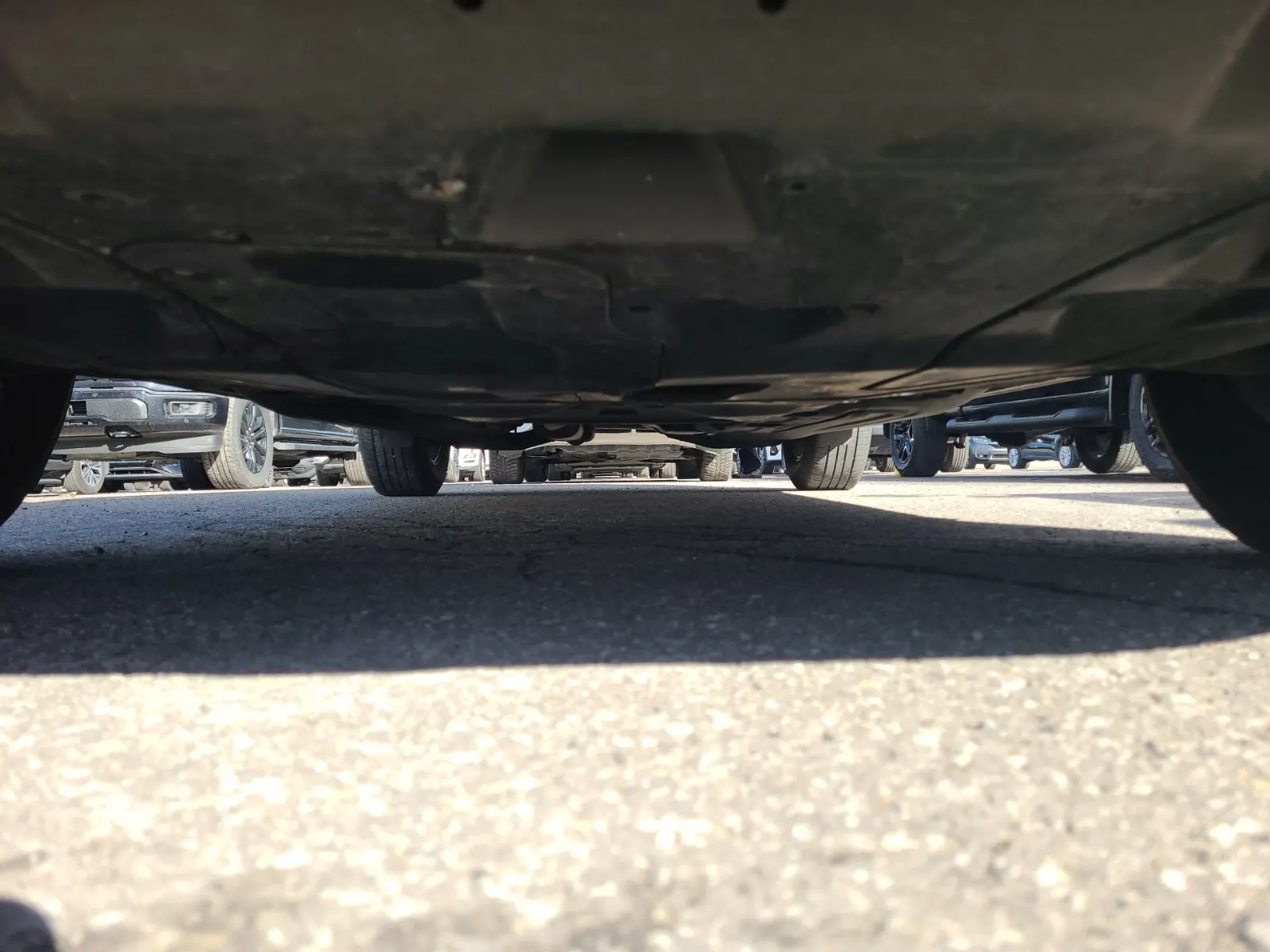 Undercarriage - Front Photo