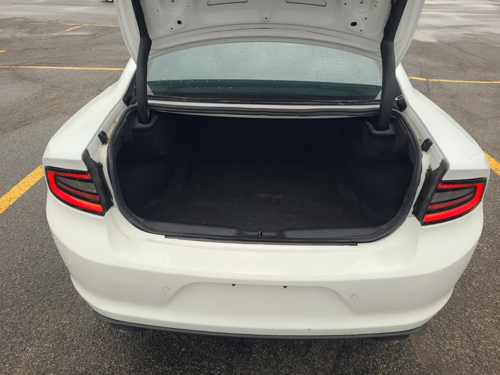 Cargo Area Photo