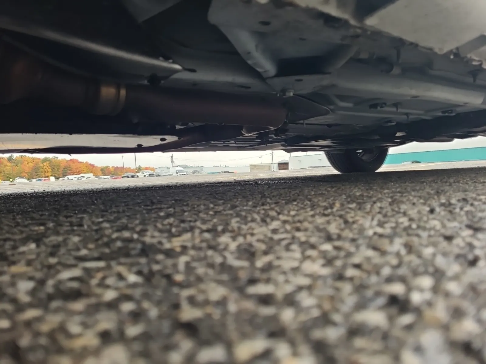 Undercarriage - Driver Photo