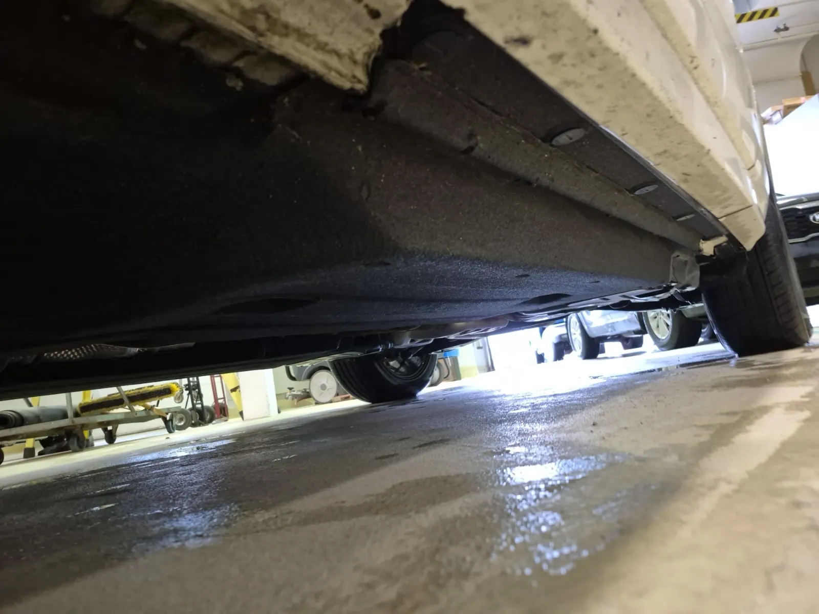 Undercarriage - Driver Photo