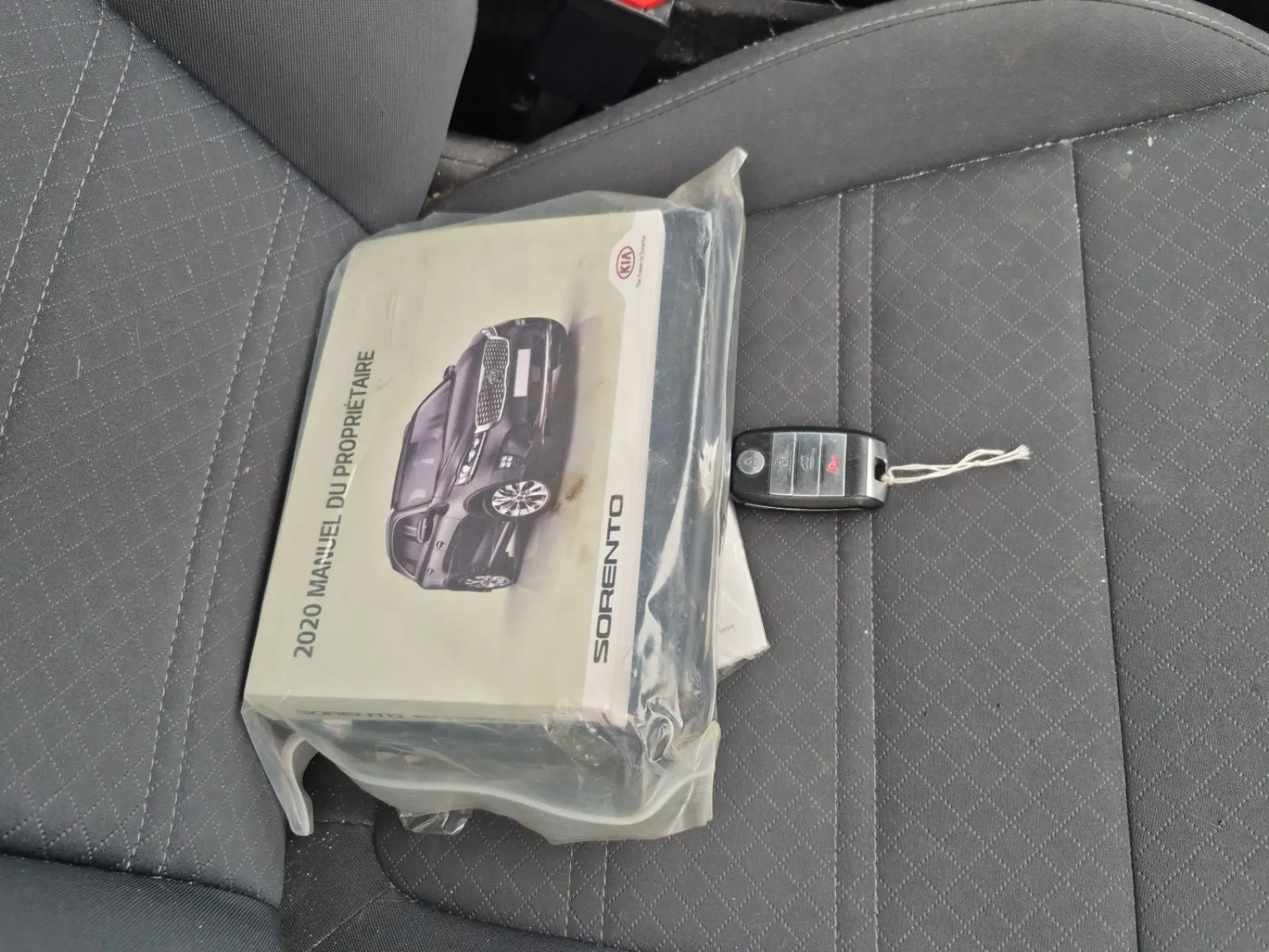 Keys/Fobs/Manual Photo