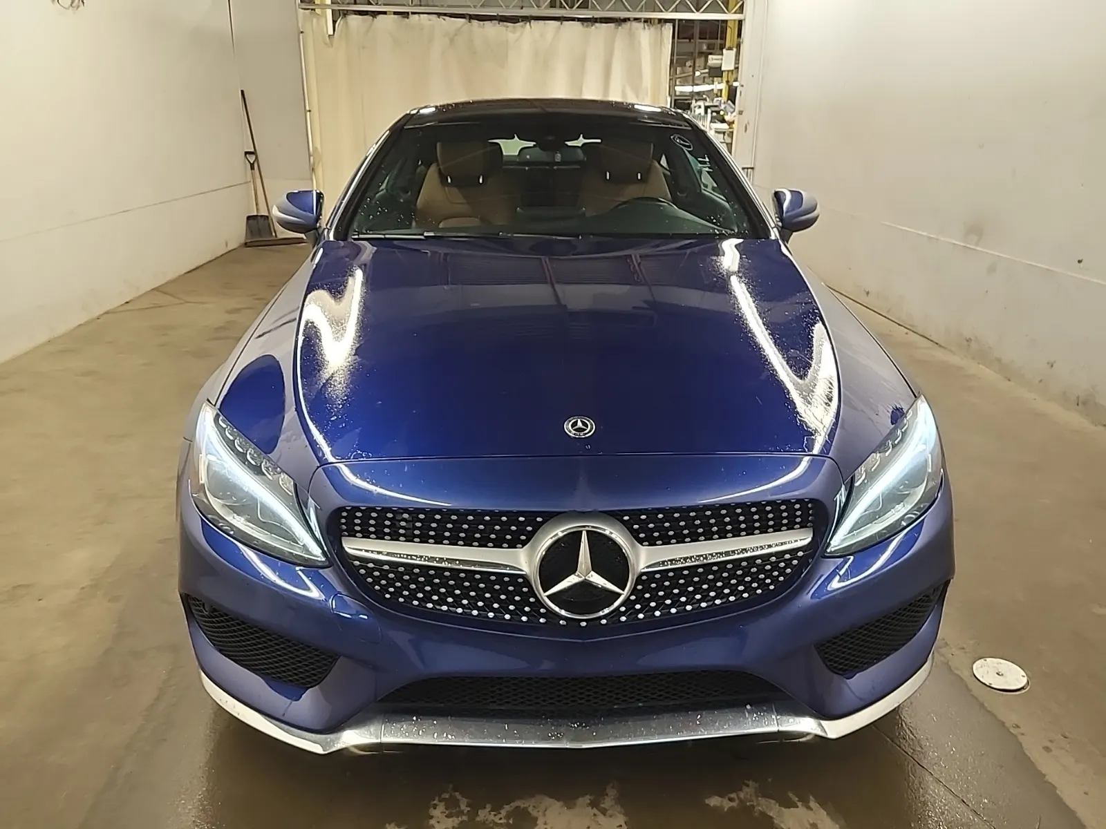 Full Front Photo