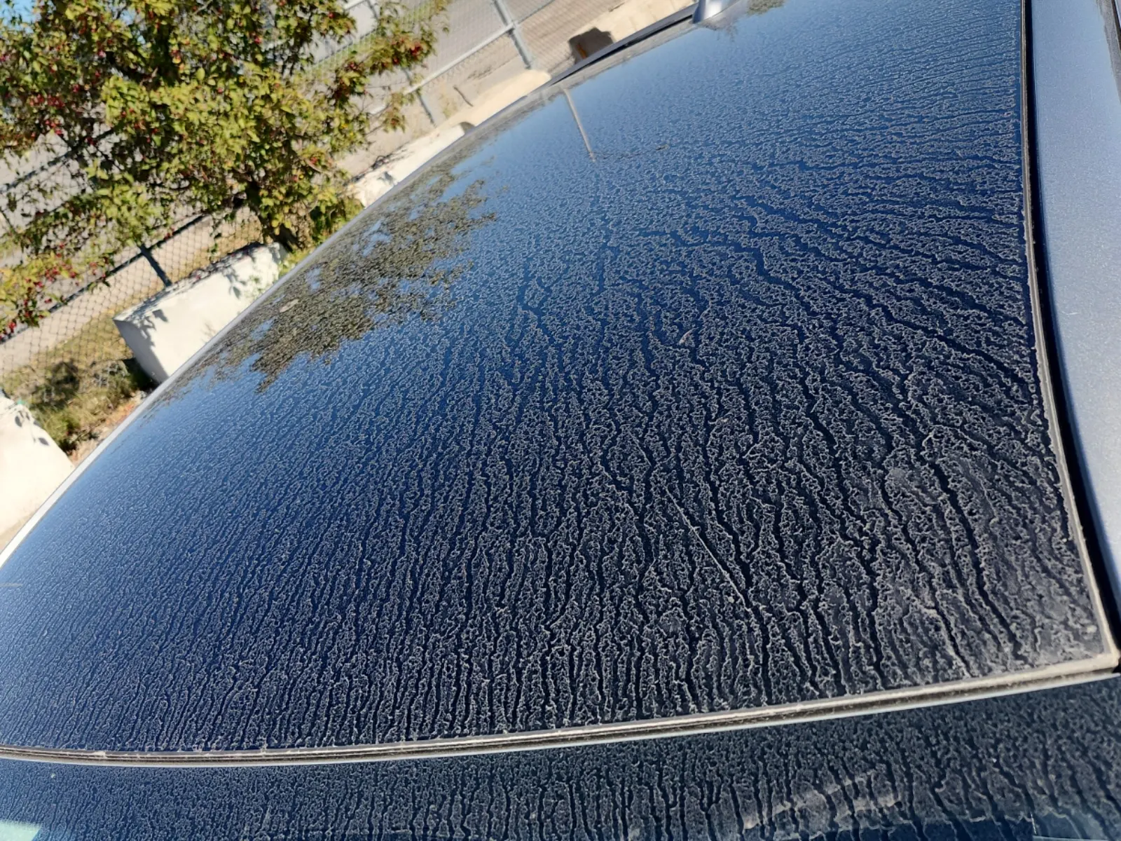 Exterior Roof Photo