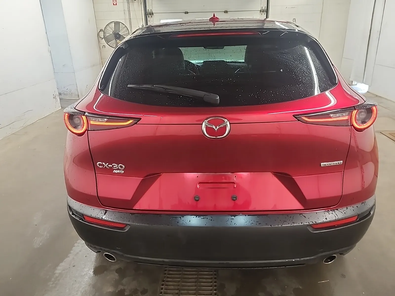 Full Rear Photo