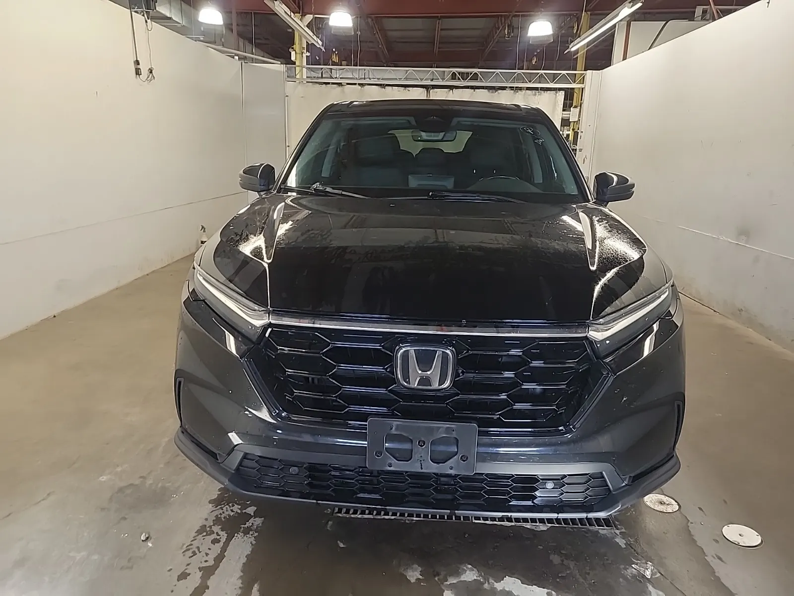 Full Front Photo