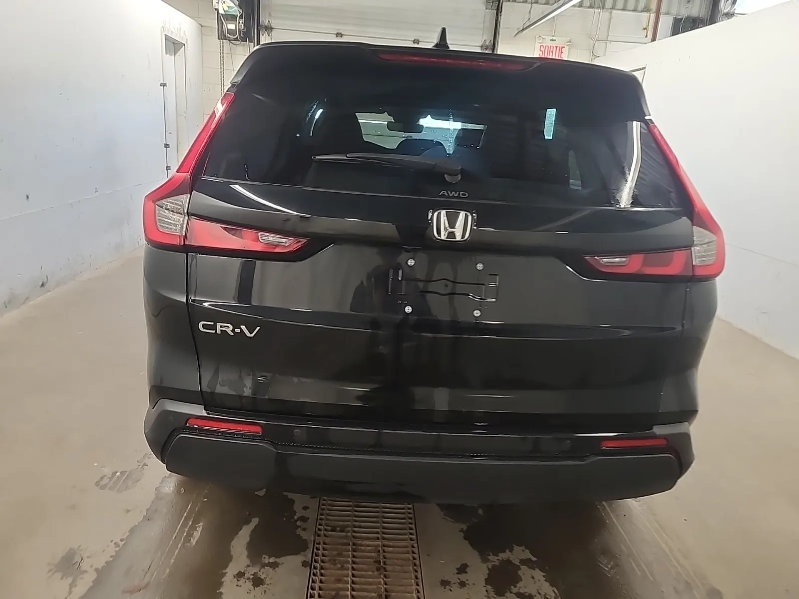 Full Rear Photo