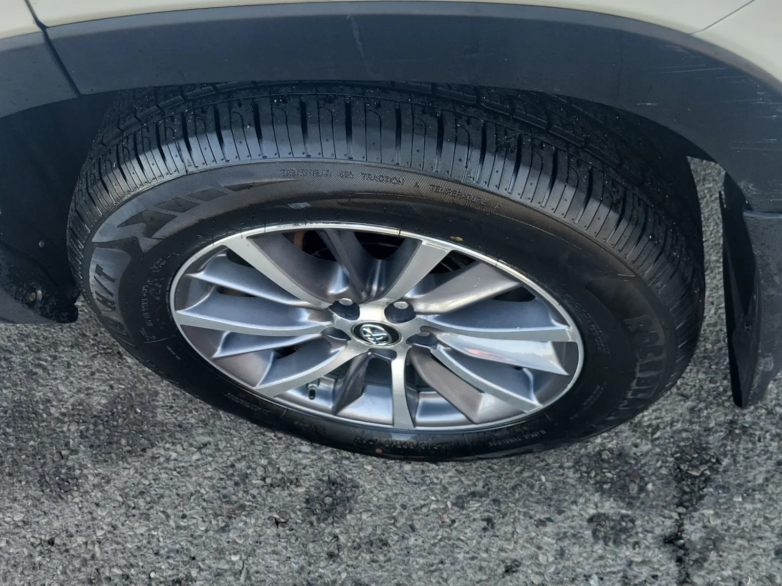 Left Rear Wheel/Tire Photo