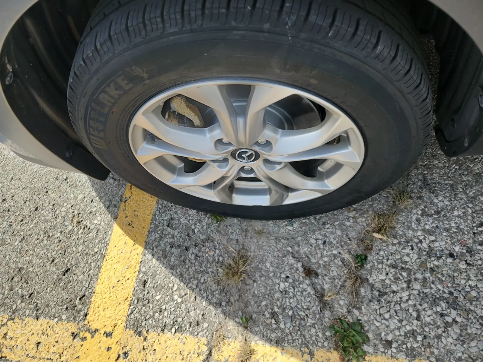 Front driver wheel/tire photo