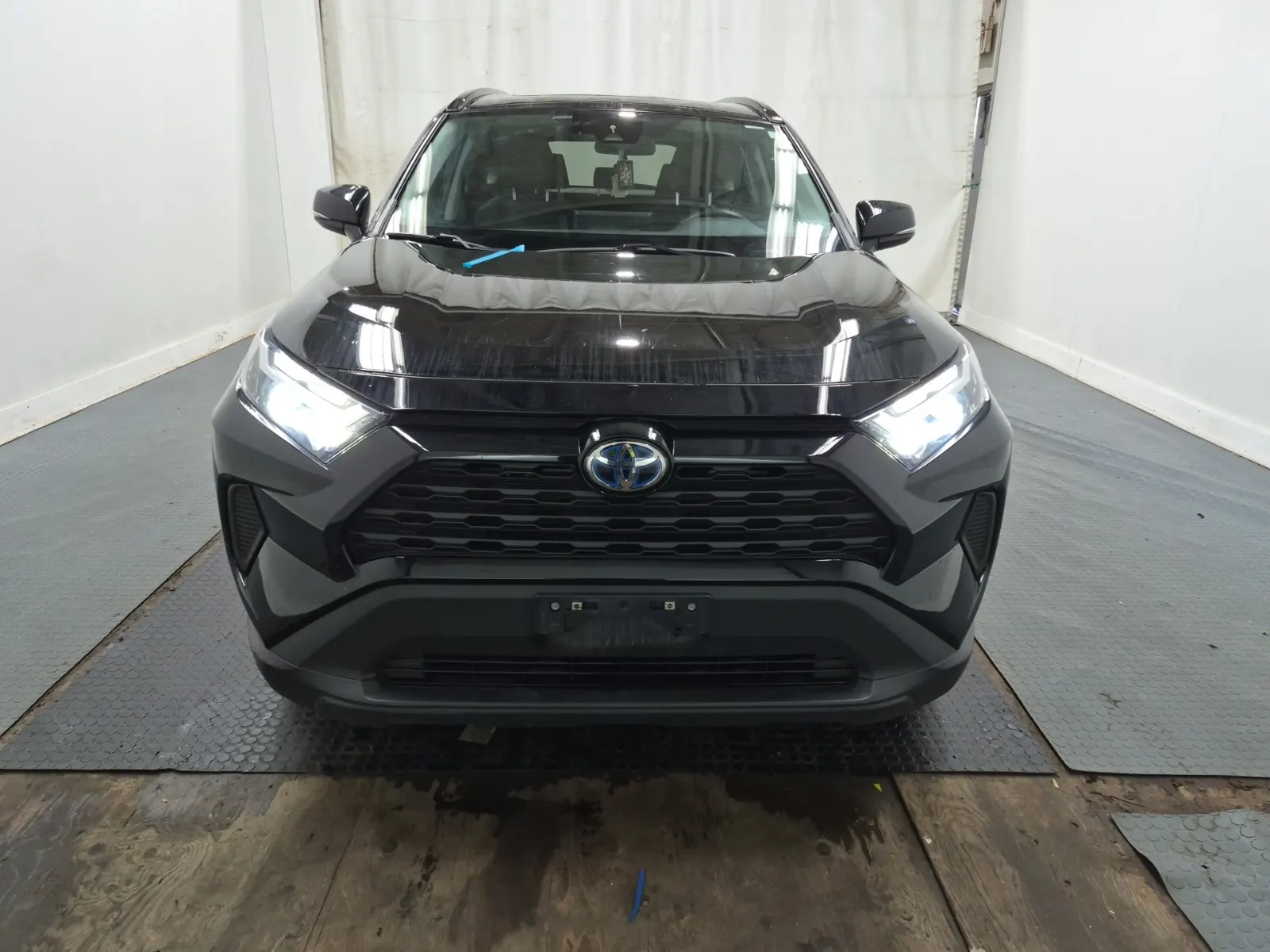 Full Front Photo