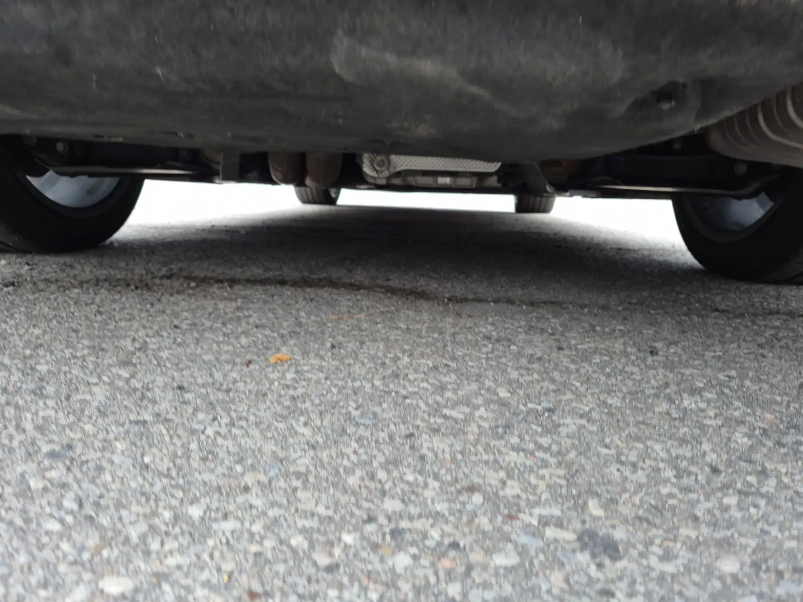 Undercarriage - Rear Photo