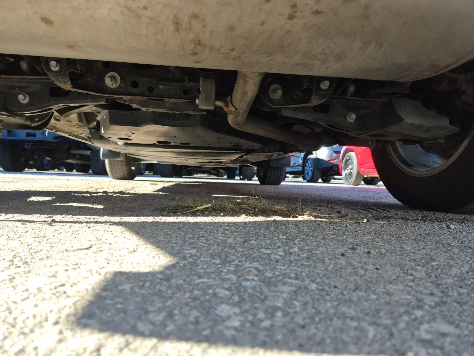 Undercarriage - Rear Photo