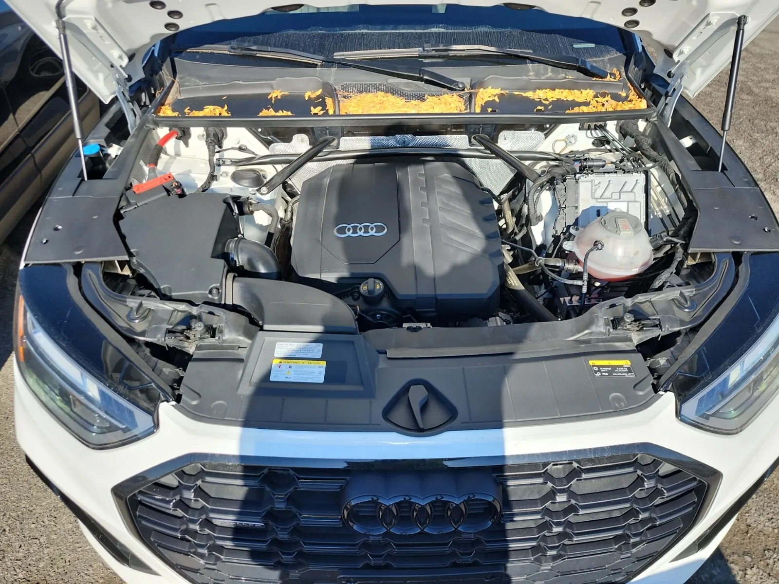 Engine Photo