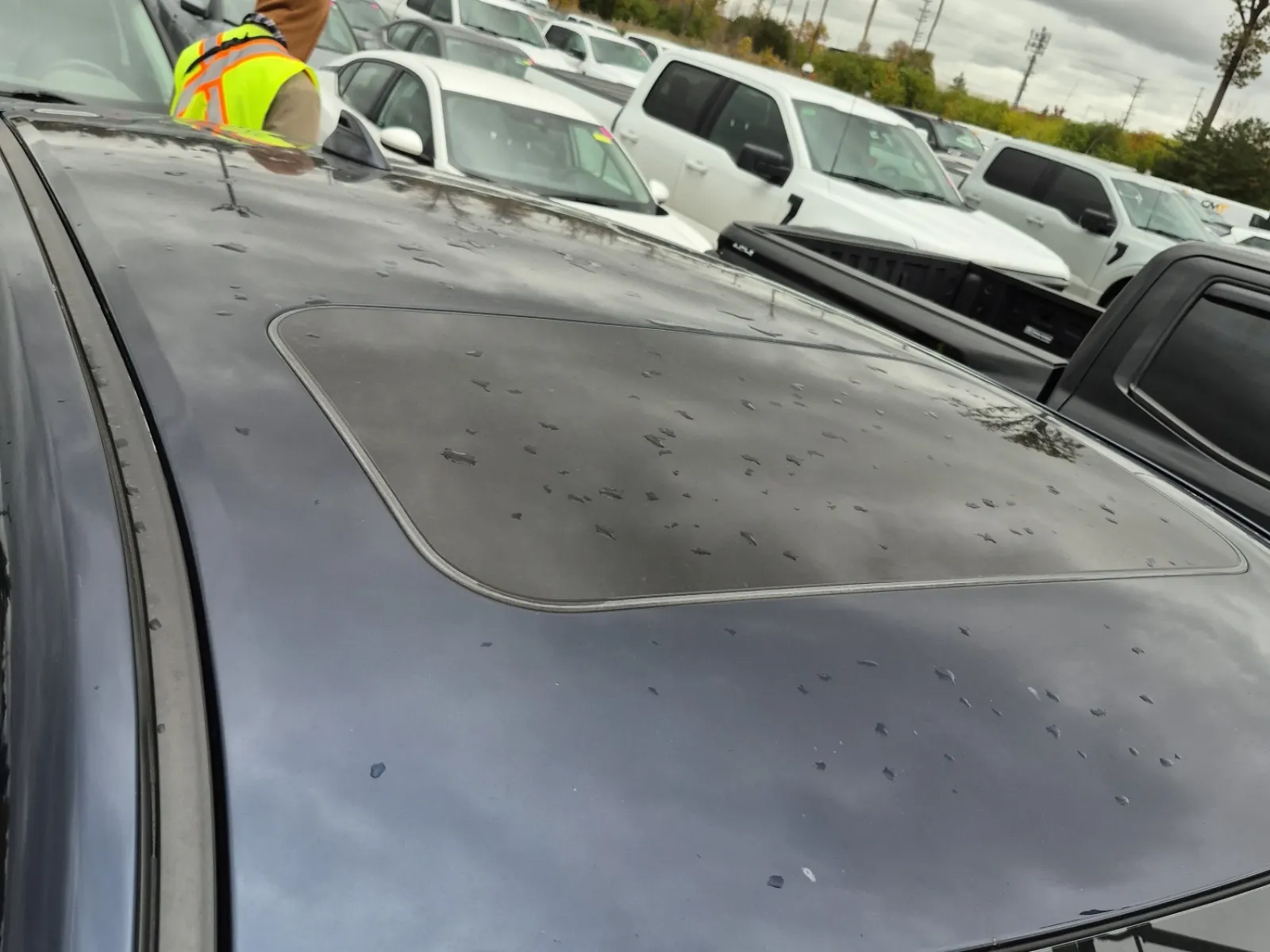 Exterior Roof Photo
