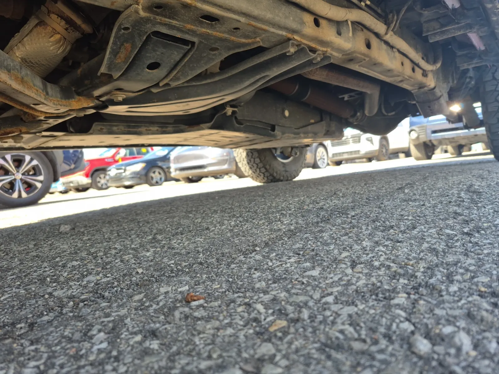 Undercarriage - Driver Photo