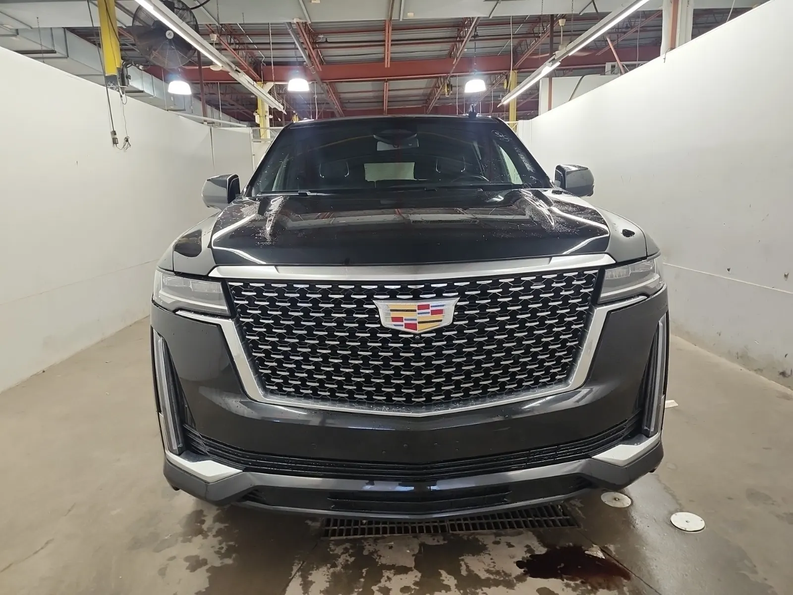 Full Front Photo
