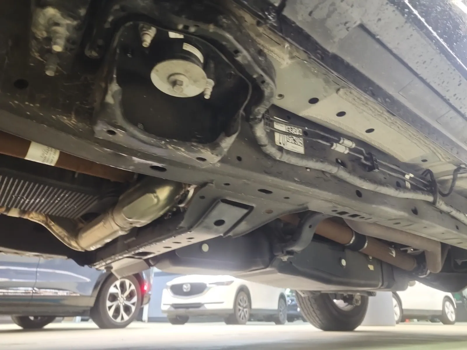 Undercarriage - Driver Photo