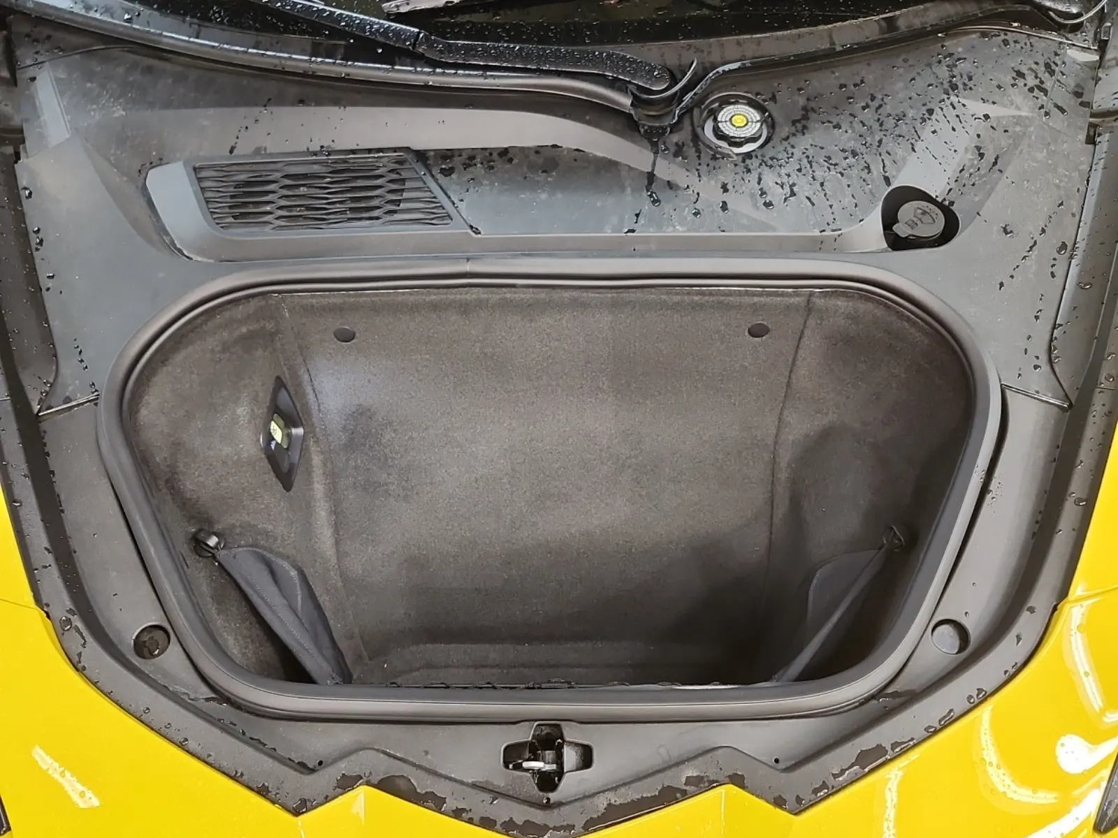 Cargo Area Photo