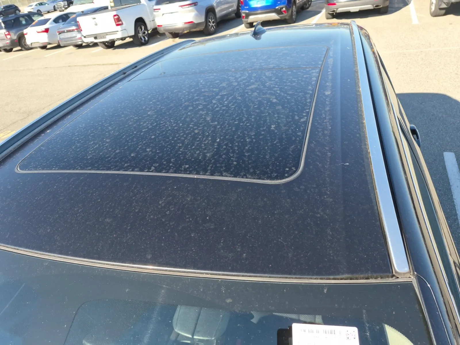 Exterior Roof Photo
