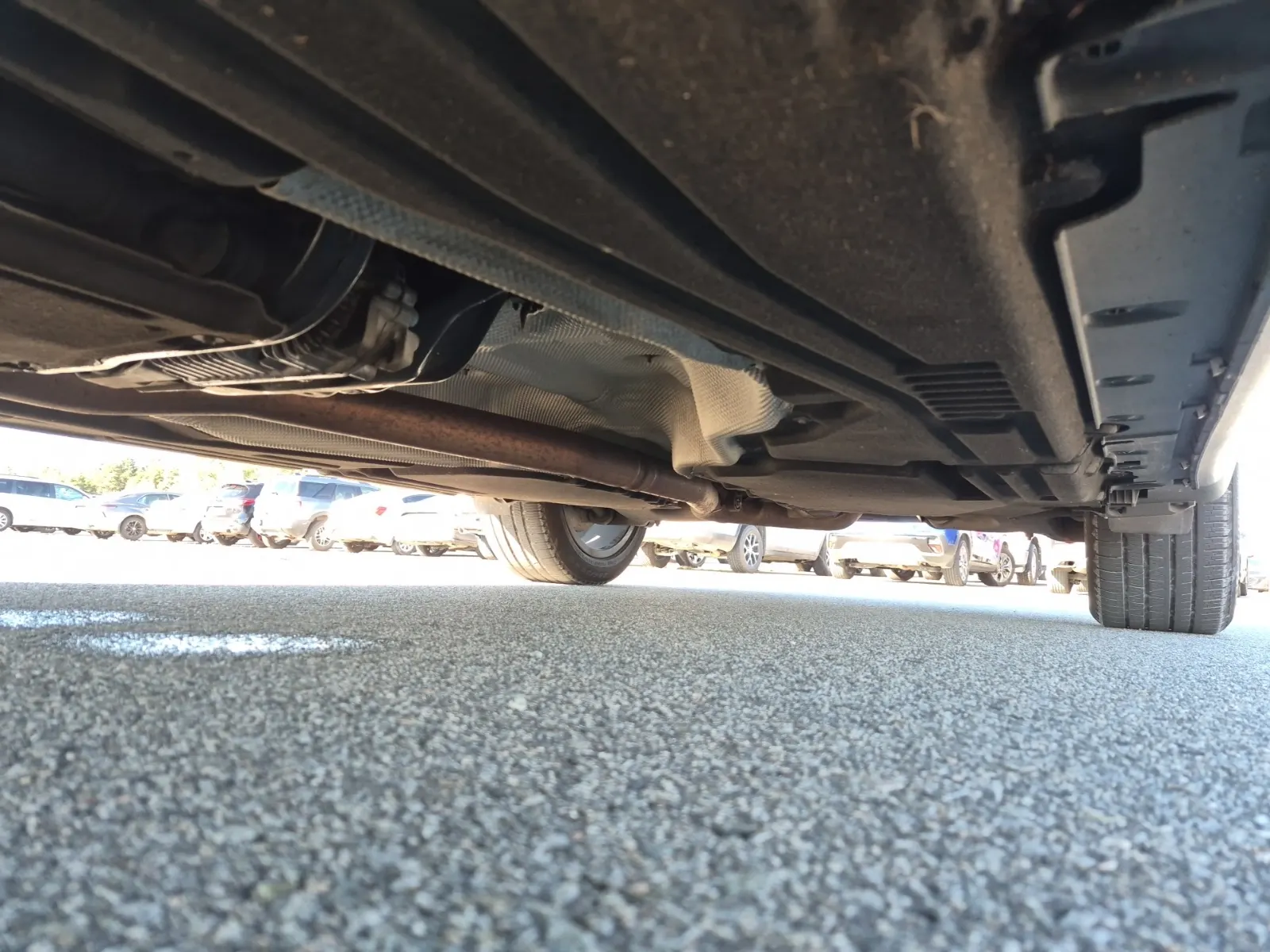 Undercarriage - Driver Photo