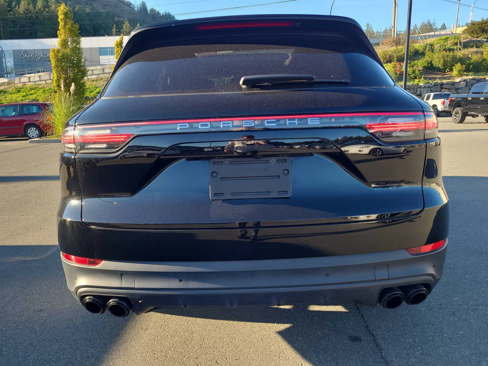 Back