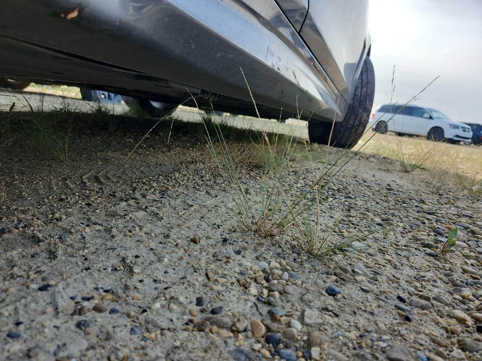 Undercarriage - Passenger Photo
