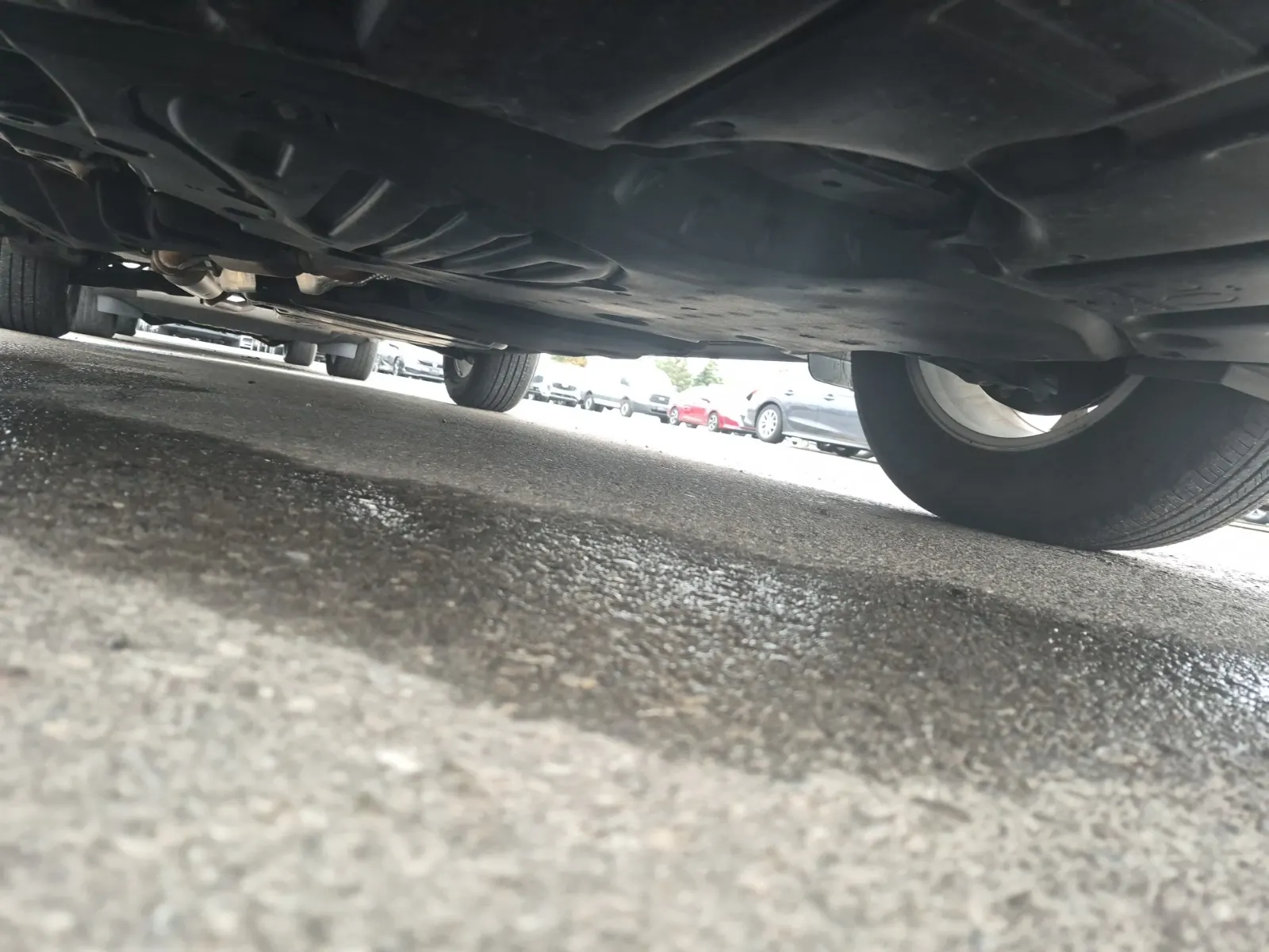 Undercarriage - Front Photo