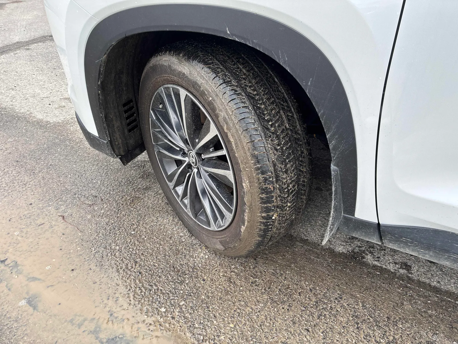 Tire