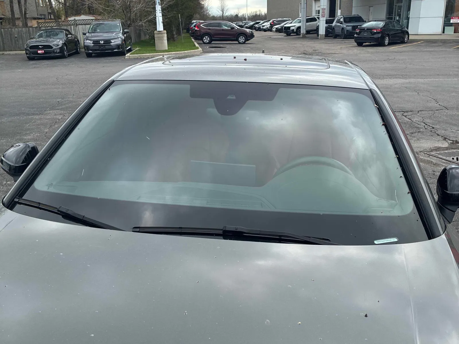 Additional Photo