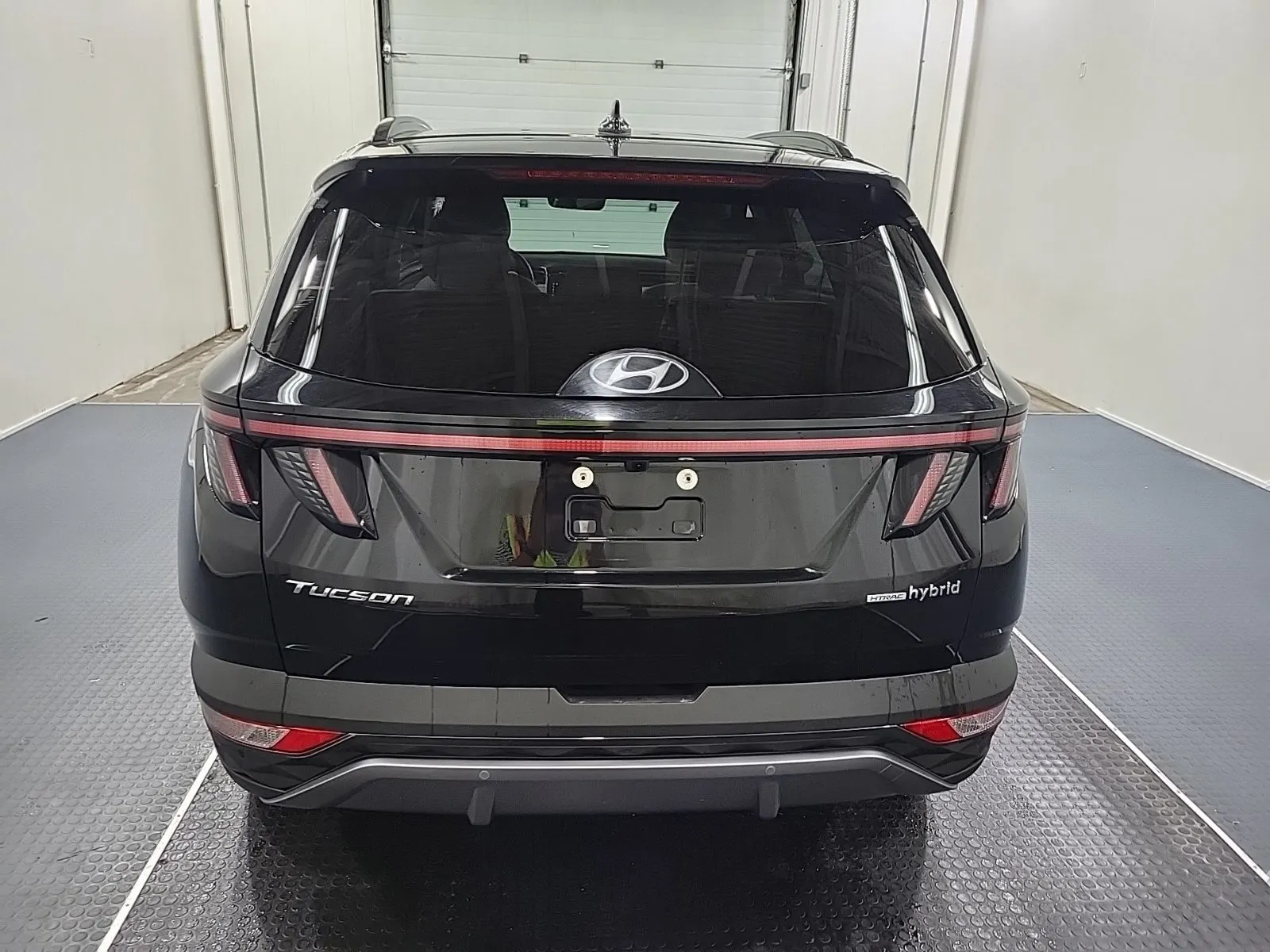 Full Rear Photo
