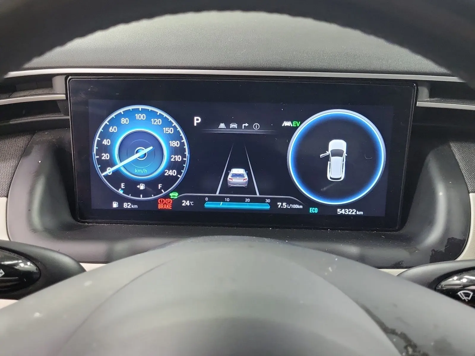 Odometer Photo