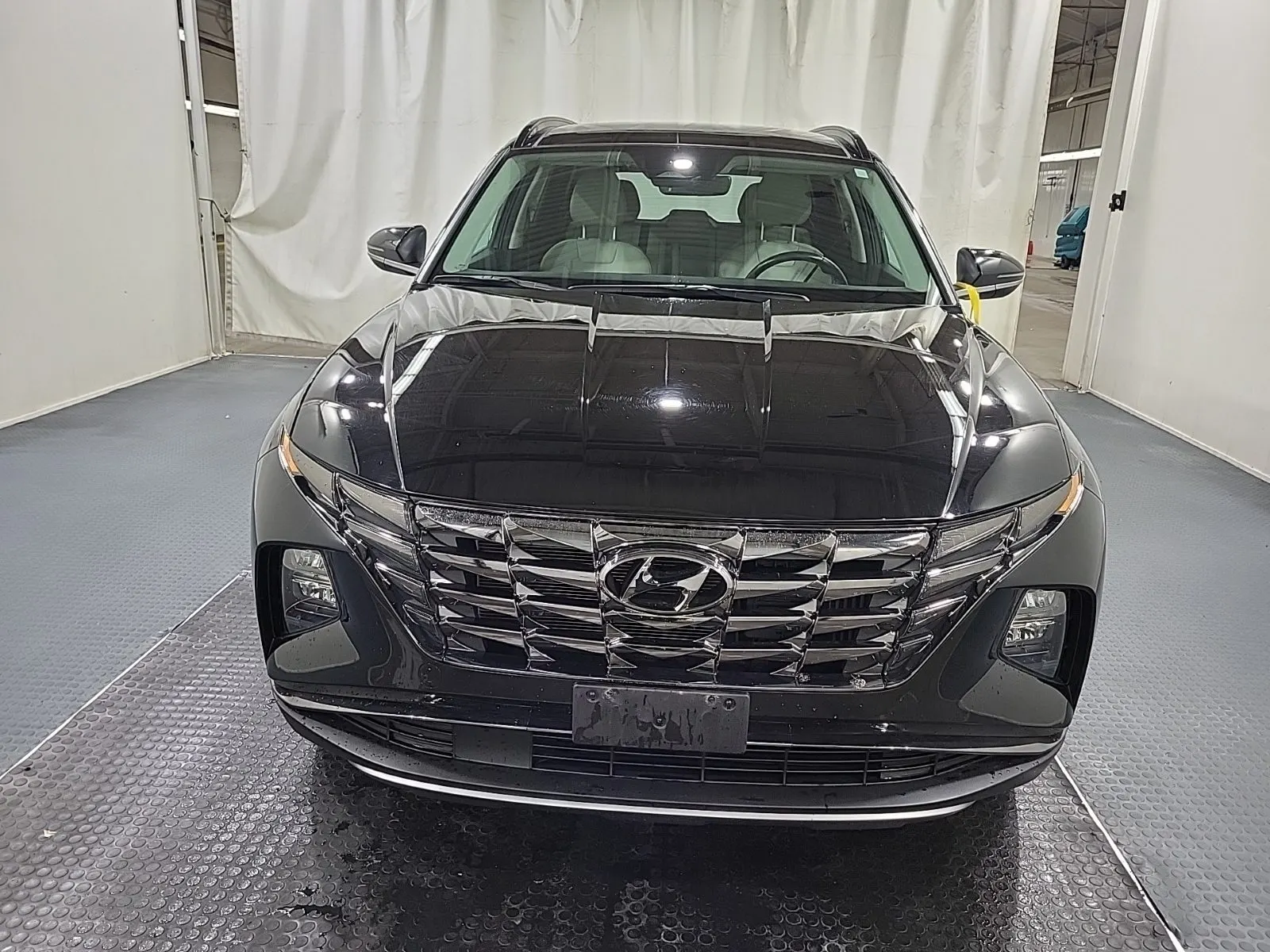 Full Front Photo