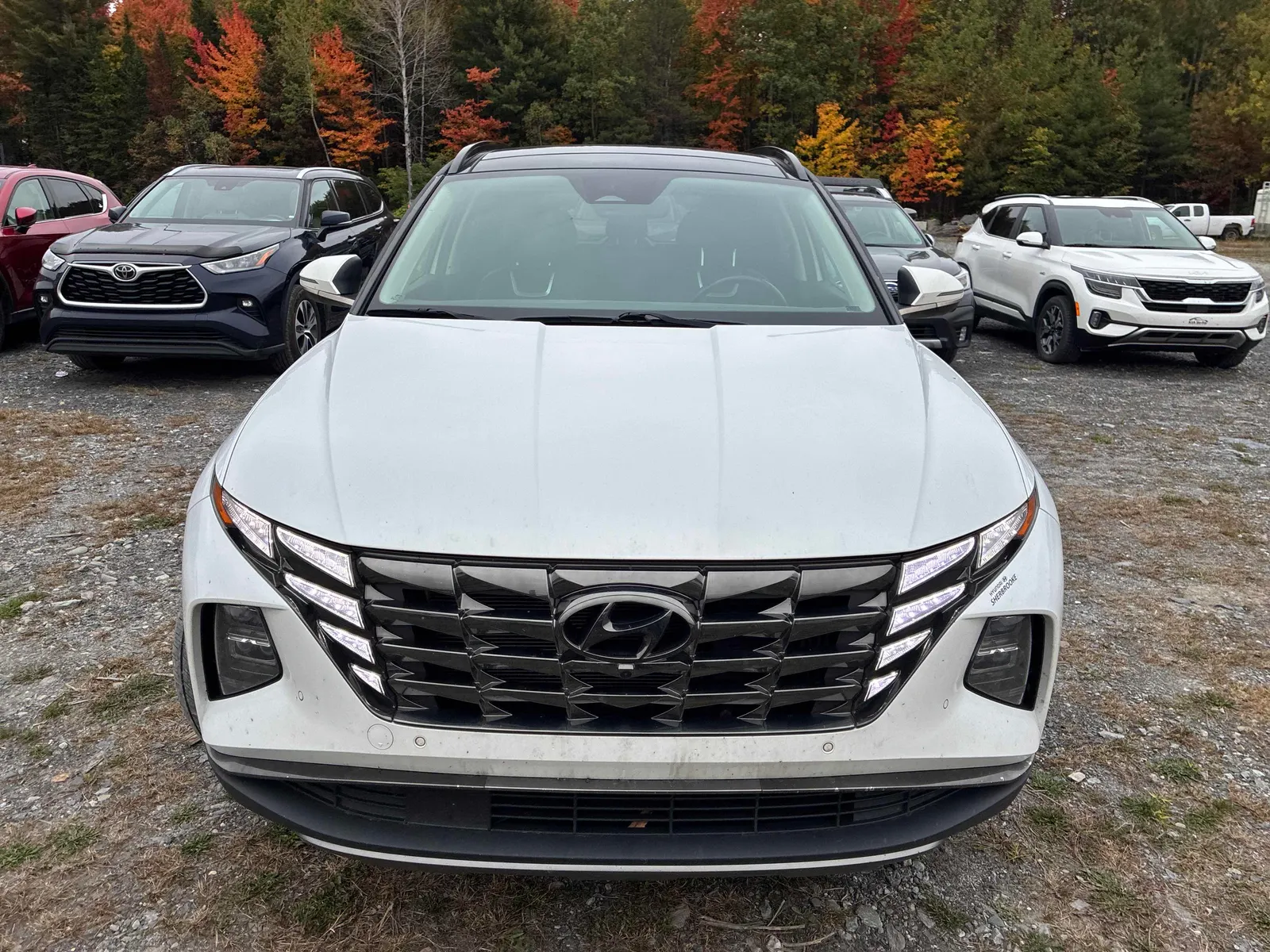 Front