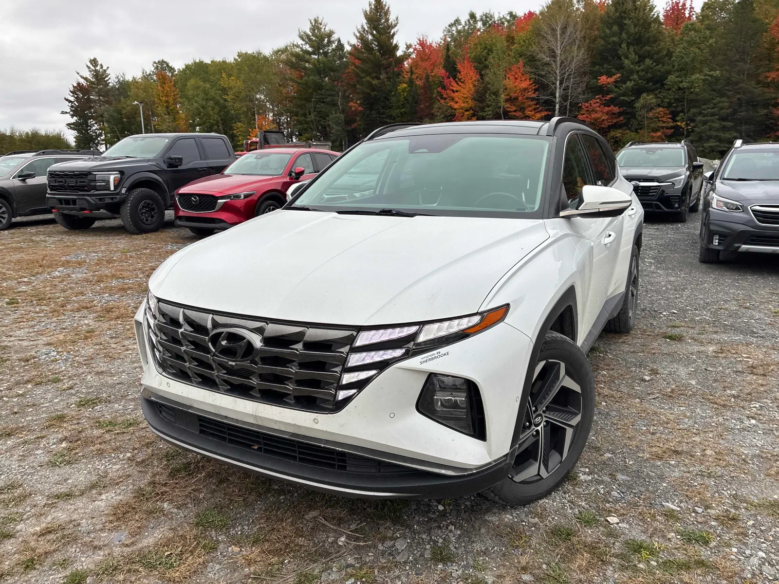 3/4 Front (Main image)