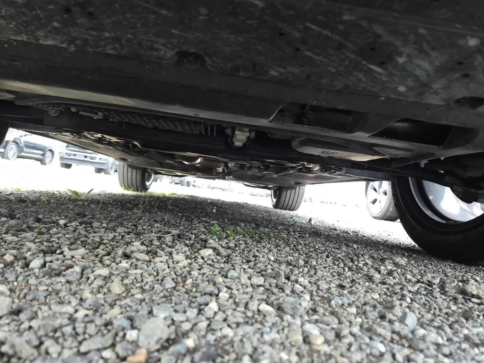Additional Photo