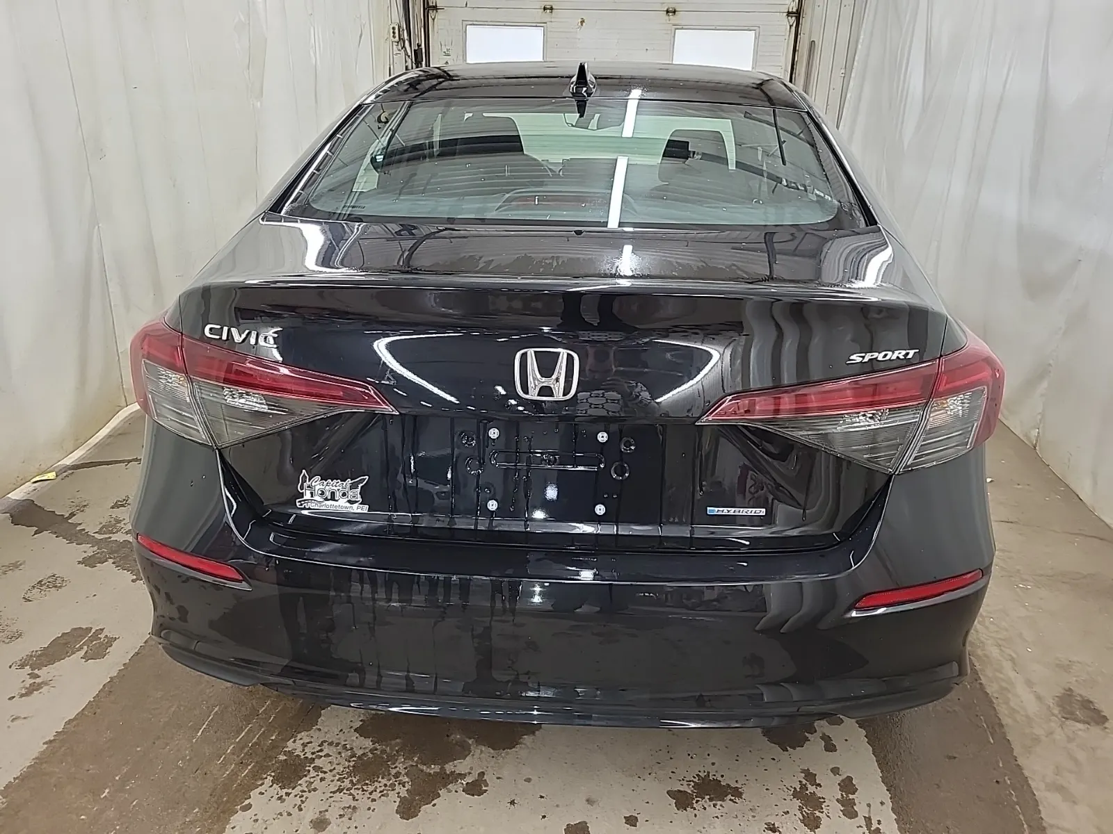 Full Rear Photo