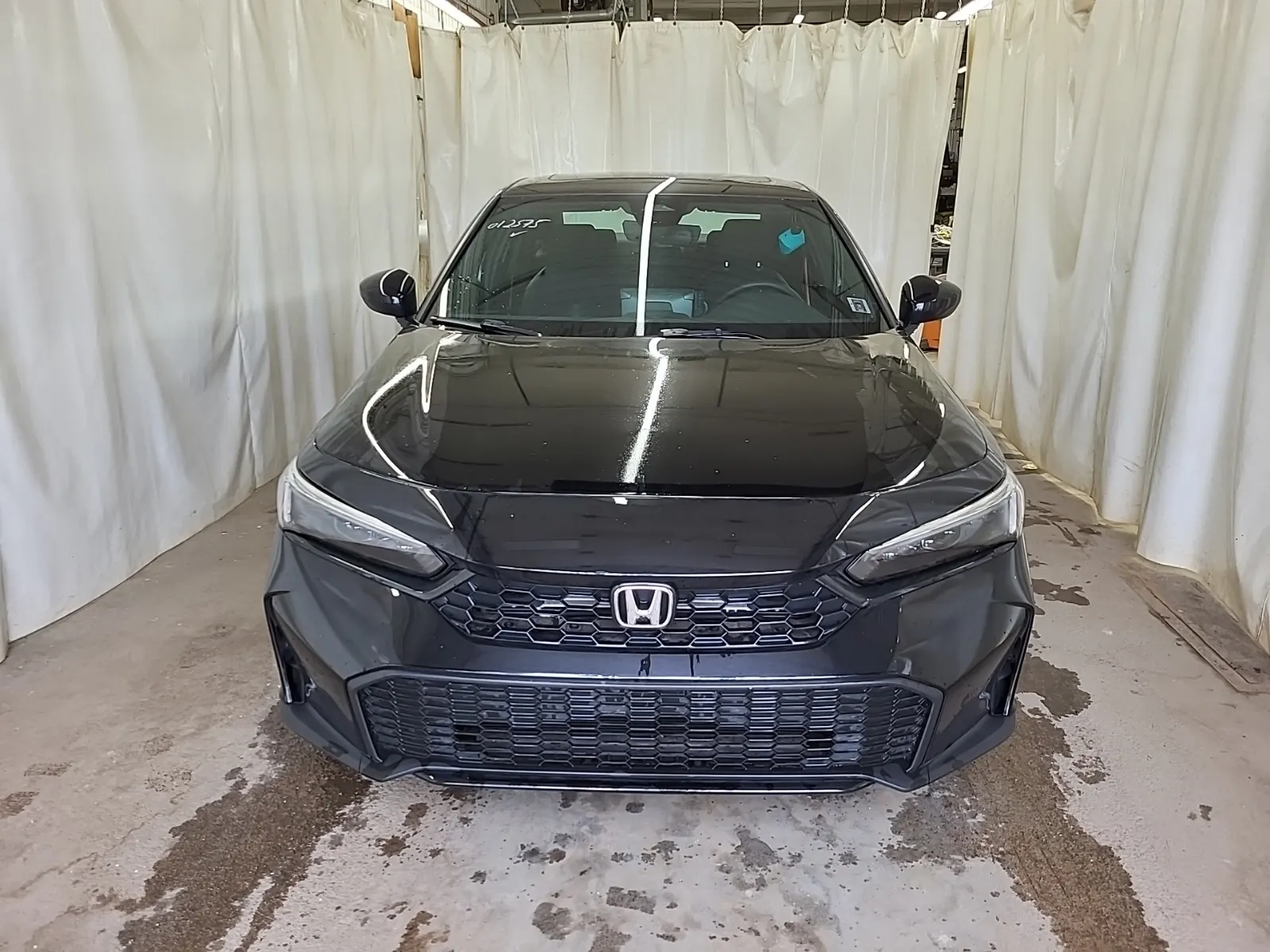 Full Front Photo