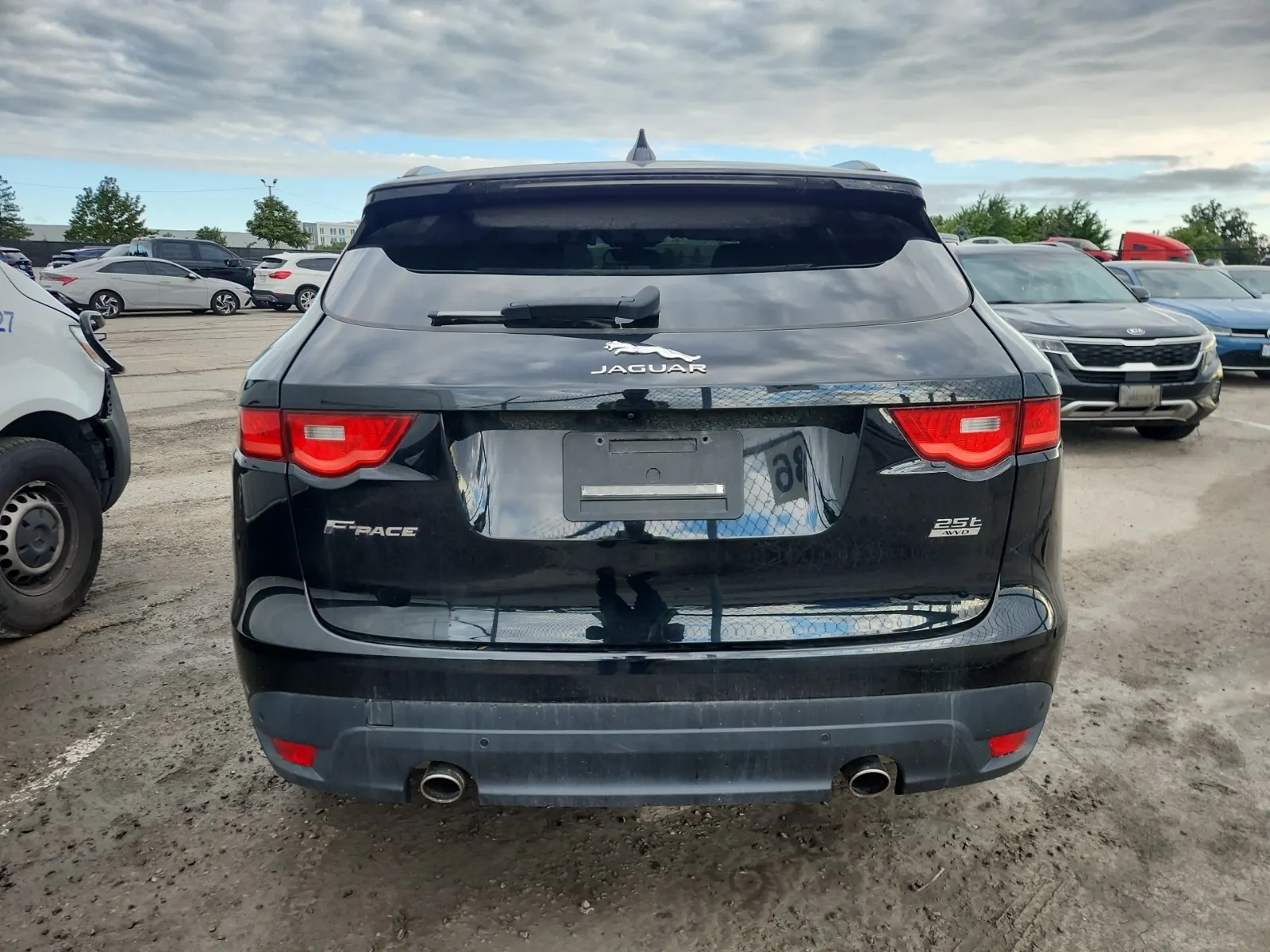Extra Photo 1