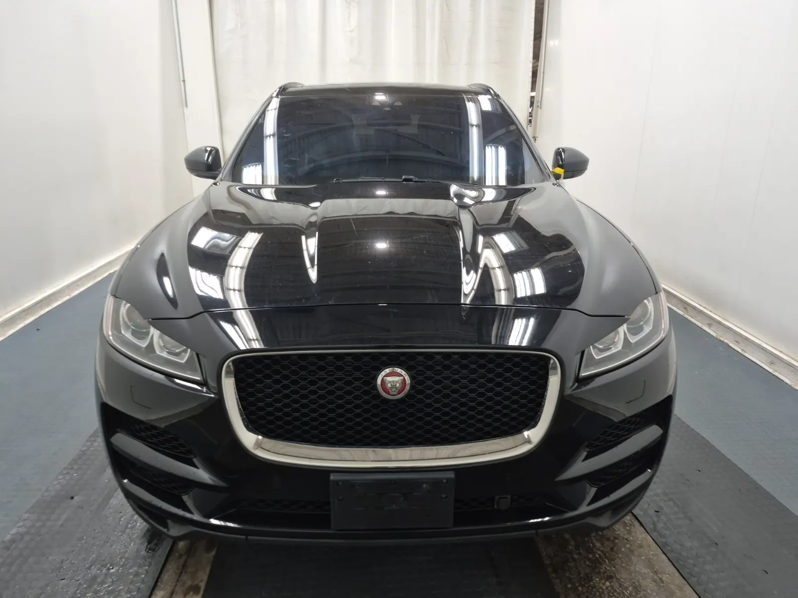 Full Front Photo