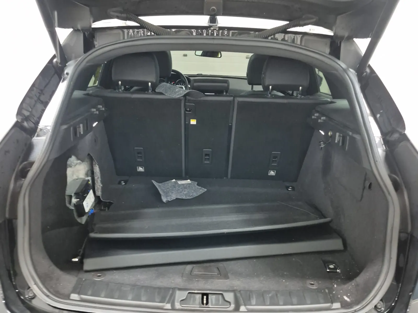 Cargo Area Photo
