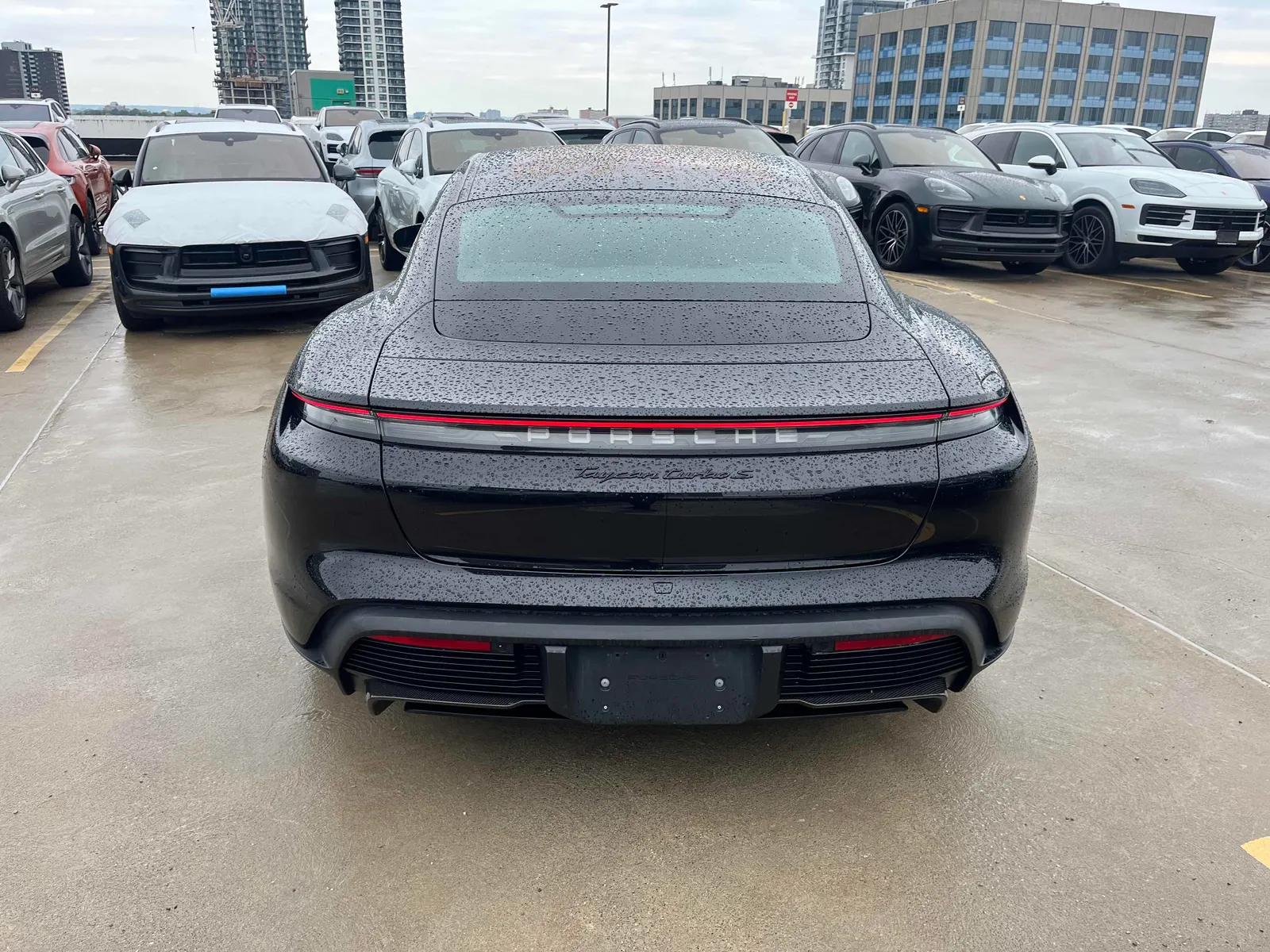 Back