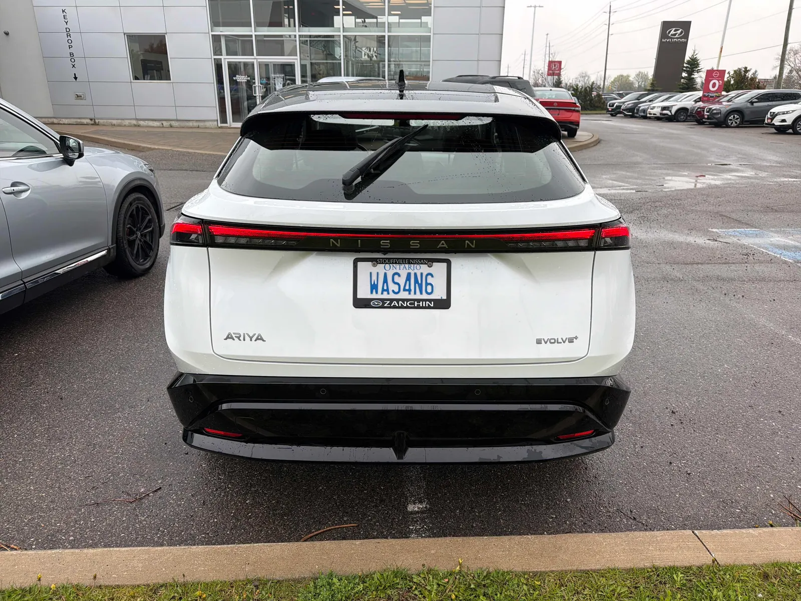 Back
