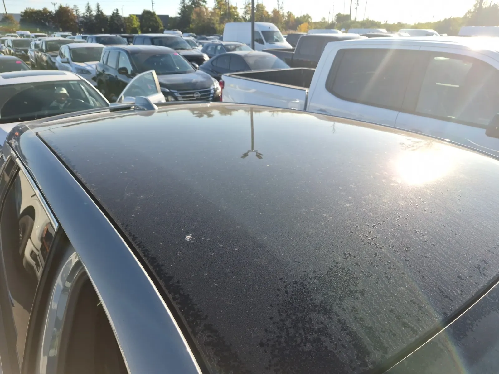Exterior Roof Photo