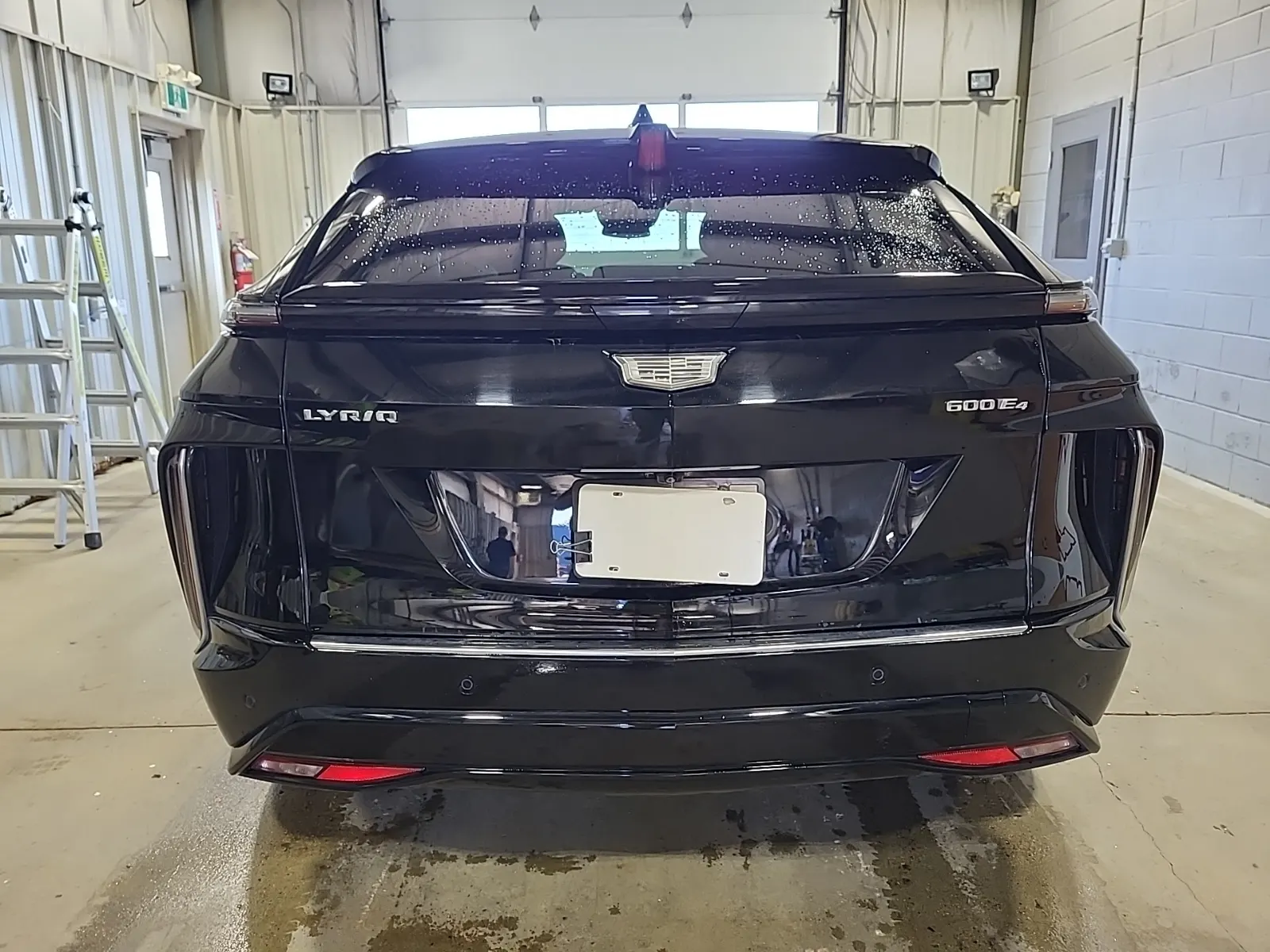 Full Rear Photo