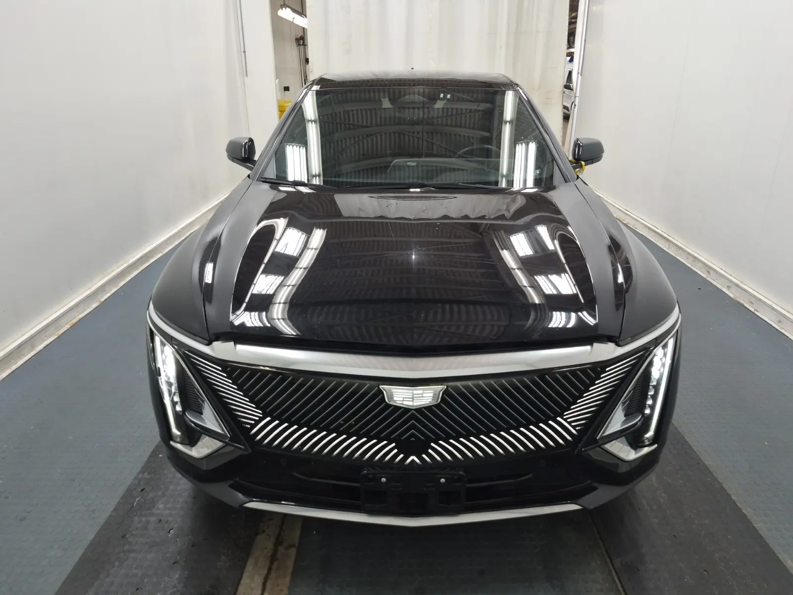 Full Front Photo