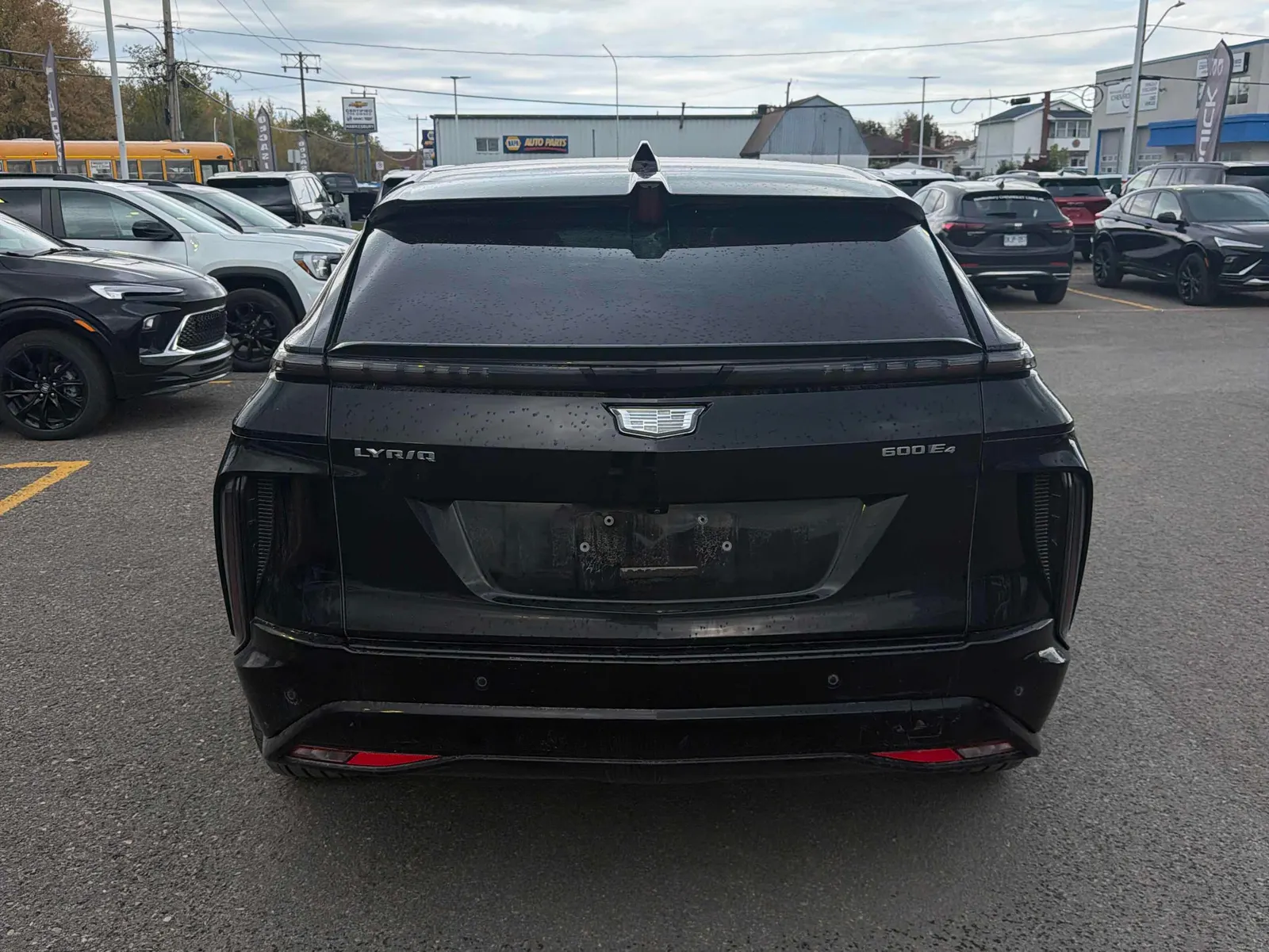 Back